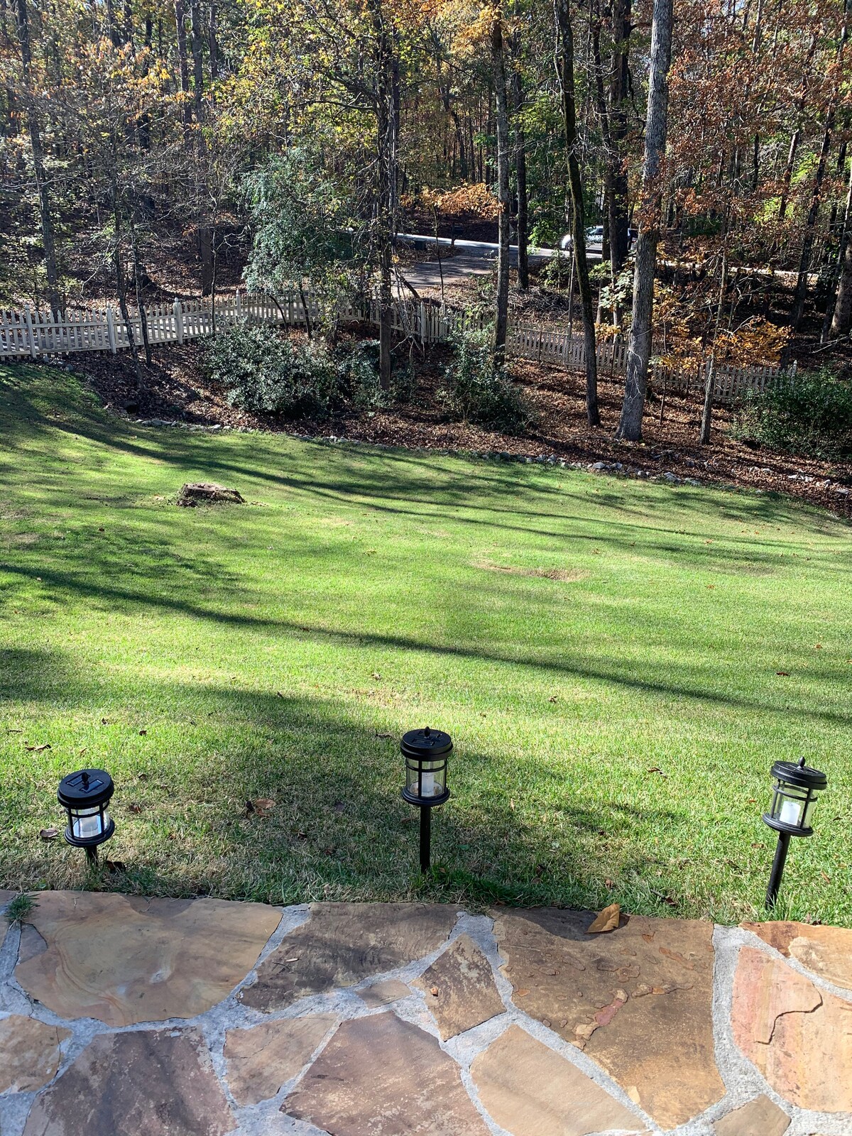 Private green lawn surrounded by mature woods